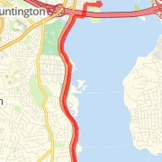 8 mile training run