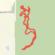 Raisin Woods - Bears Trail