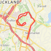 AdiRun 6.5km Domian Run