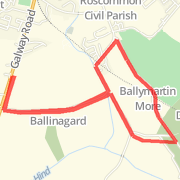 4 mile Ballinagard Mote Park 