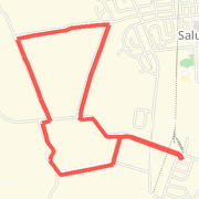 Silver Spring short