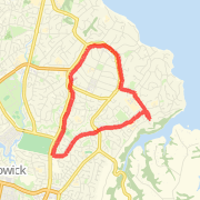 03/07/2008 Howick 9.5k run