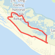 Ding Darling - 8 Mile Loop