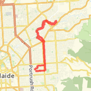 Training Half Marathon from Wardy&amp;#39;s