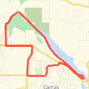 Frieberg Strunk loop