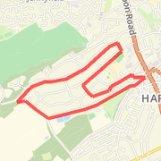 Harrogate 10k