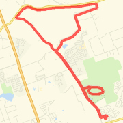 Half Marathon