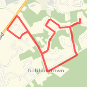 3 Miler