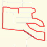 3 miler