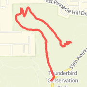 Thunderbird Park trail run to peak and back.