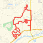 Ted 13 miler