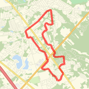 MAD 8 Miler