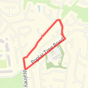 Front Loop