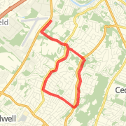 6.5 gym run