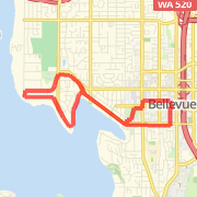 Bellevue City Hall to Medina Loop