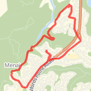  Bush long run