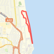 Morning Run