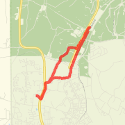 CPX Run