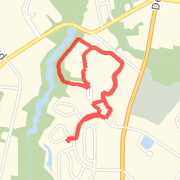 Daily Run