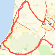 SalinasViaDelReyOaks