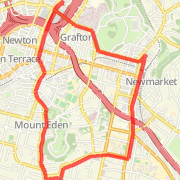 Peace 8KM Run through Newmarket