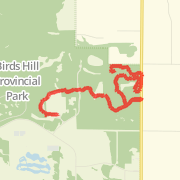8km Race (Try a Trail Race Series) Run route image