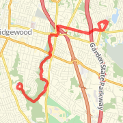 Washington Towhship - 10 Miler