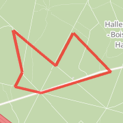 eerste loop in bos