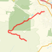 Mt Wellington via Knights Creek Trail