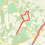 Leap St Run