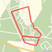 big loop and little loop