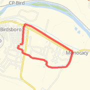 Drunken Run