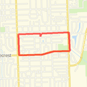 parrot jungle loop