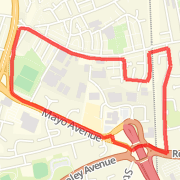 Evening Run
