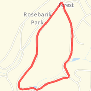 thompson loop