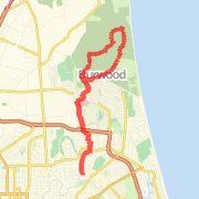 21/02/2009 Route easy road and forest run