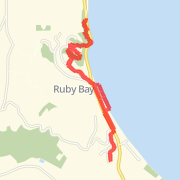 Brabant bush Run