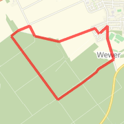 Kurze Jogging-Runde Weweraner Wald I
