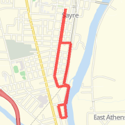 Turkey Trot