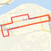 2 weeks out from Italian Heritage Festival Run