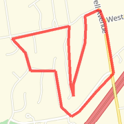 the 3 mile run