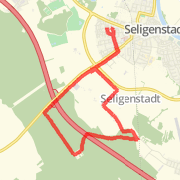 10.45 km Run in Seligenstadt on 24.12.2011 14:28