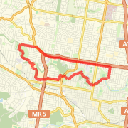 12km Bridge Run Training