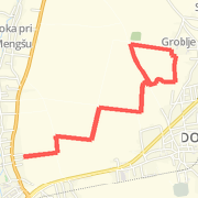 Regular Run