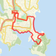 Johnny's Manly beah run