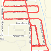 2.98 mi Walk in Orlando on Jan 23, 2012 9:20 AM