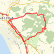 Margam forest trail