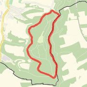 Woods Circuit