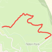 Tilden 3