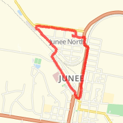 Junee short circuit